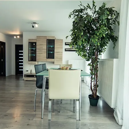 Apartment 162 Aurel Vlaicu *