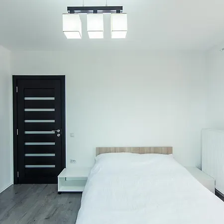 162 Aurel Vlaicu Apartment *
